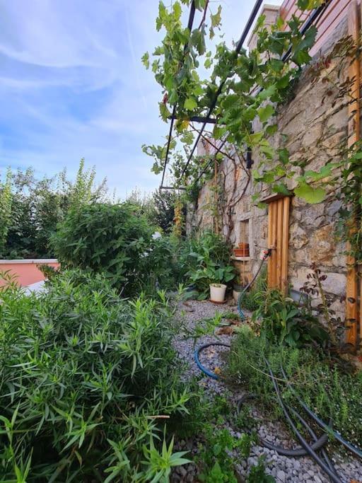 Hisa Idej Apartment Sezana Bagian luar foto