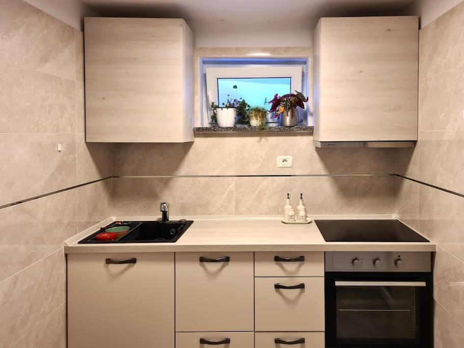 Hisa Idej Apartment Sezana Bagian luar foto